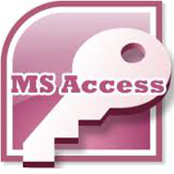 MS Access programmer Tampa FL